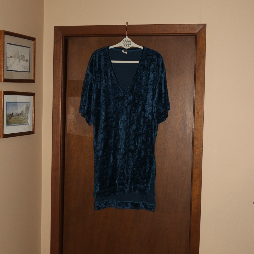 We the Free Dress crushed velvet Top